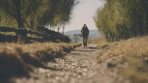 About the Camino de Santiago de Compostela Website - Who we are