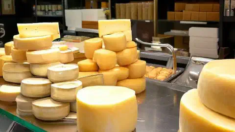 A counter top with queso de Arzúa on display A counter top at a spanish cheese shop with queso de Arzúa on display