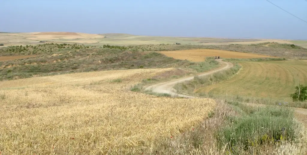 camino Francés route