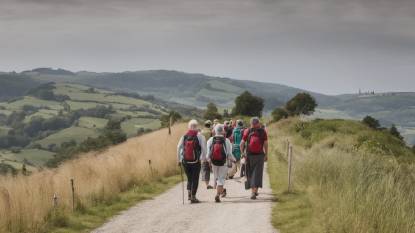 Pilgrim On Camino Inglés Route From Betanzos To O Mesón Do Vento