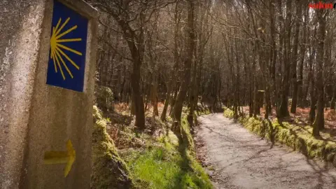 Camino De Santiago Waymarker on the Camino Francés Camino De Santiago Waymarker Camino Francés