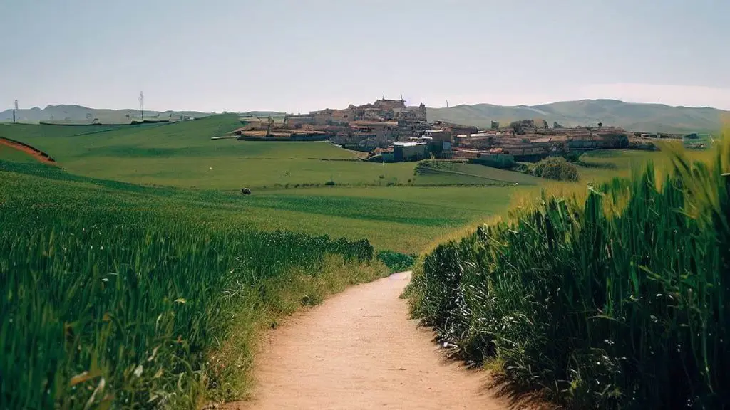 Low Level Photo Along Pathway Town In Distance On The Camino De Santiago Sunny Day Green Fields