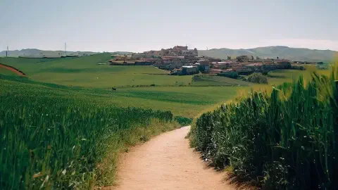 Town In Distance On The Camino Low Level Photo Along Pathway Town In Distance On The Camino De Santiago Sunny Day Green Fields