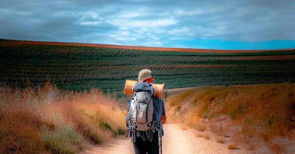 A pilgrim walking in the distance along the Camino Francés route from Los Arcos to Logroño A pilgrim walking in the distance along the Camino Frances route from Los Arcos to Logrono Spain