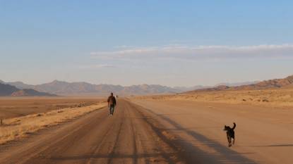 Los Arcos to Logroño Dirt Road