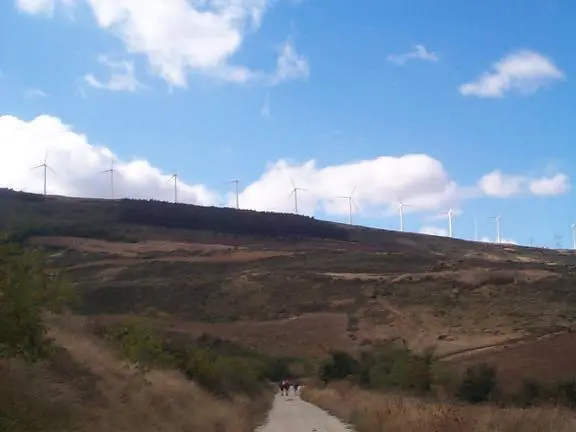 All The Hills Around Pamplona Covered With Wind Power Generators, Those are full grown trees below them ! All the hills around Pamplona covered with Wind Power Generators