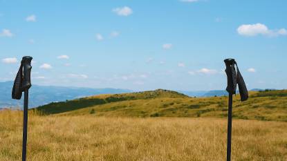 Signup for access to free Camino Resources!