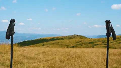 Signup for access to free Camino Resources!